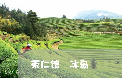 茶仁馆 冰岛/2023090703038